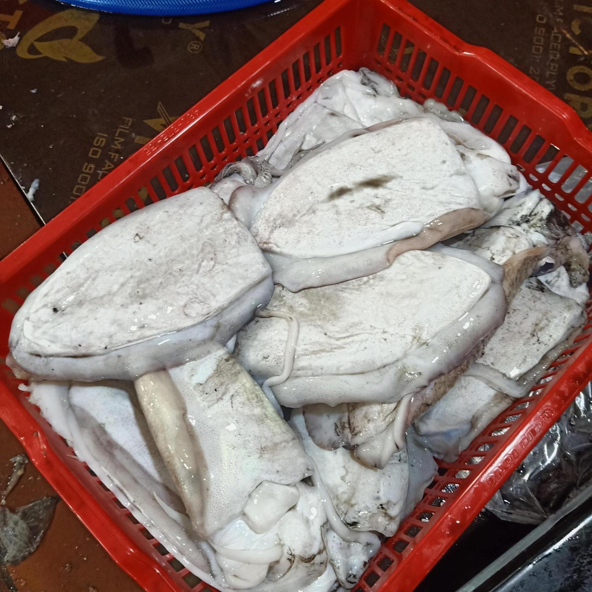 탕 러이 호텔 Dong Khe Sau 외부 사진